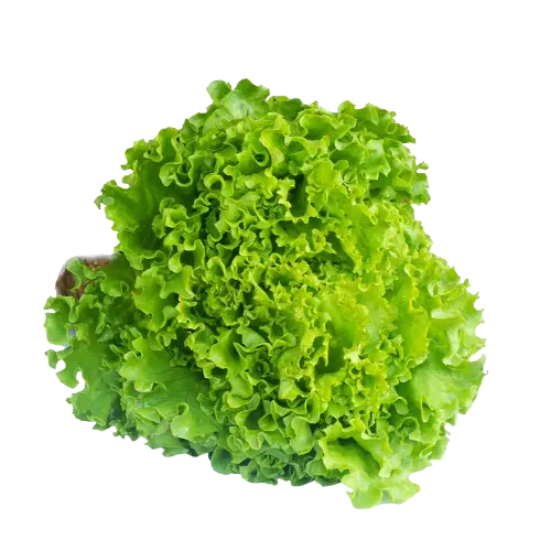 Mezclum Bowl