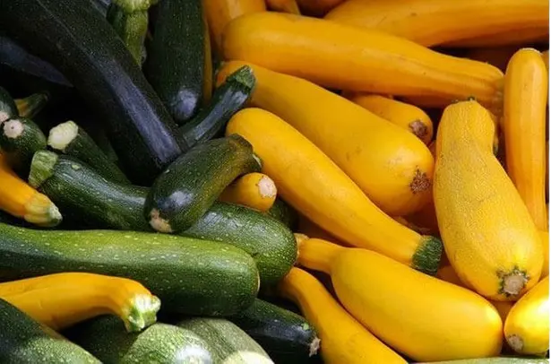Mix de zucchini - PI
